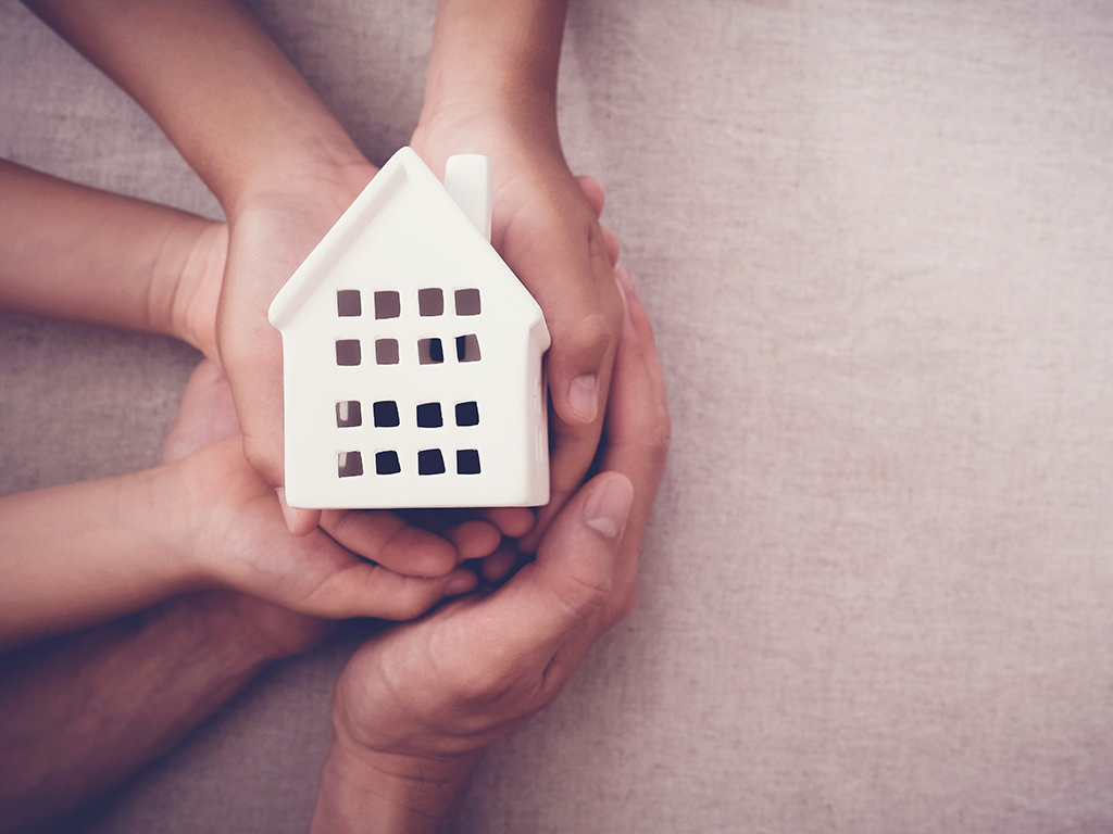 House In Hands Image